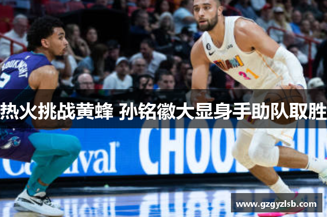 热火挑战黄蜂 孙铭徽大显身手助队取胜