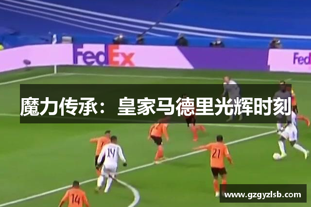 魔力传承：皇家马德里光辉时刻