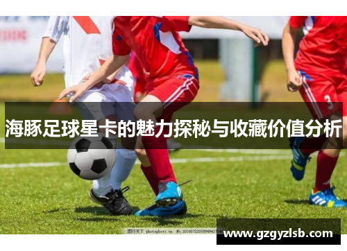 海豚足球星卡的魅力探秘与收藏价值分析