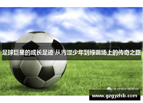 足球巨星的成长足迹 从青涩少年到绿茵场上的传奇之路