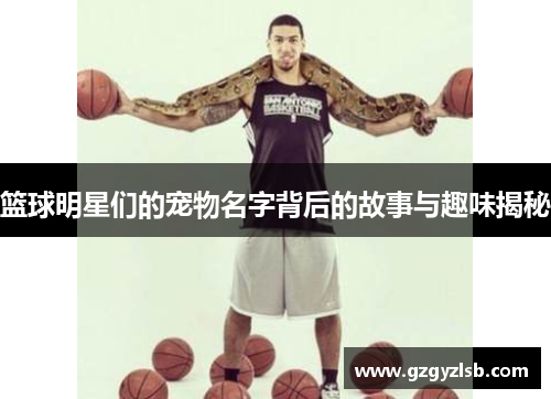 篮球明星们的宠物名字背后的故事与趣味揭秘